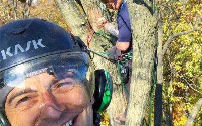 Bringing In The New Year