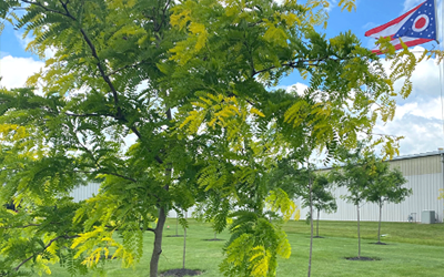 Current Treatments and Eye Openers!