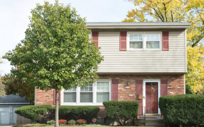 Which Trees Damage Foundations