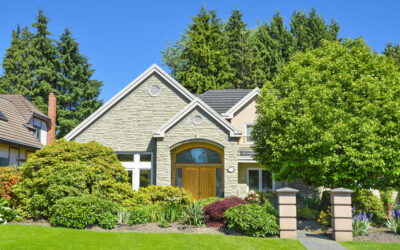 The Lag Effect of Plant Health Care (PHC) Treatments