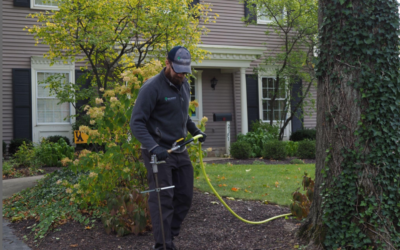 Soil Injected Nutrients