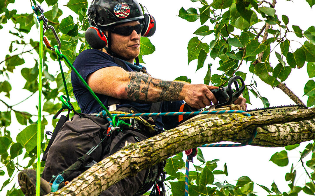 Consider Your Trees!