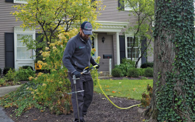 TCI Blog Feature: Zack