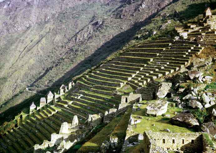 Modern Organic Amendments: A Practical Approach to Urban Soil Health