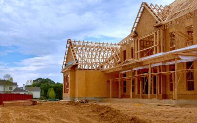 How Can Construction Activities Damage Trees on My Property?