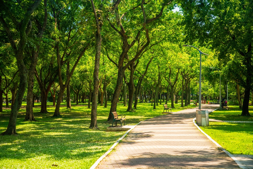 Additional Certifications