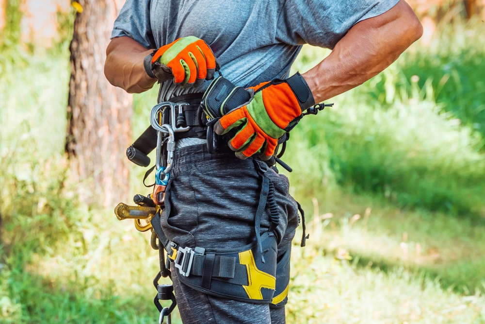 At Joseph Tree, Arborist Certification is a Priority