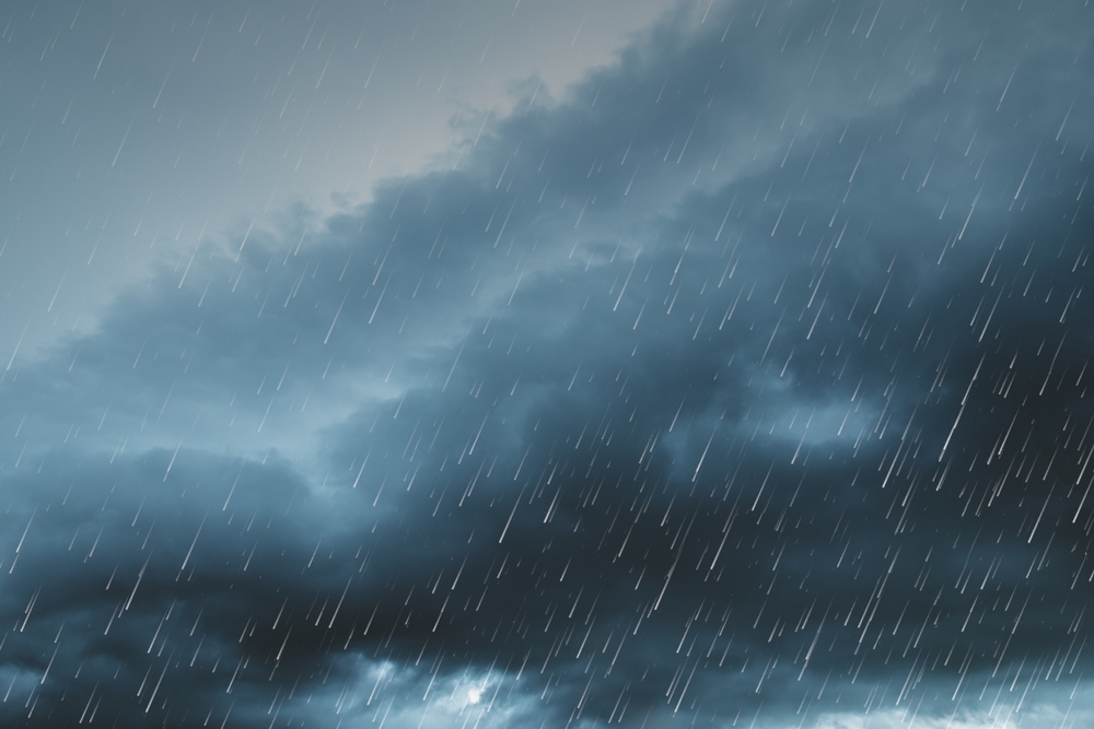 At Joseph Tree, Arborist Certification is a Priority