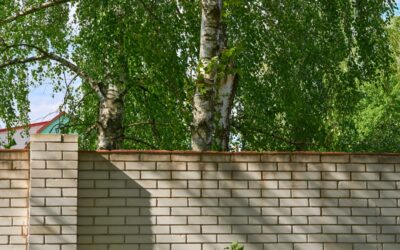 Why Do Homeowners Ignore Dangerous Tree Situations?